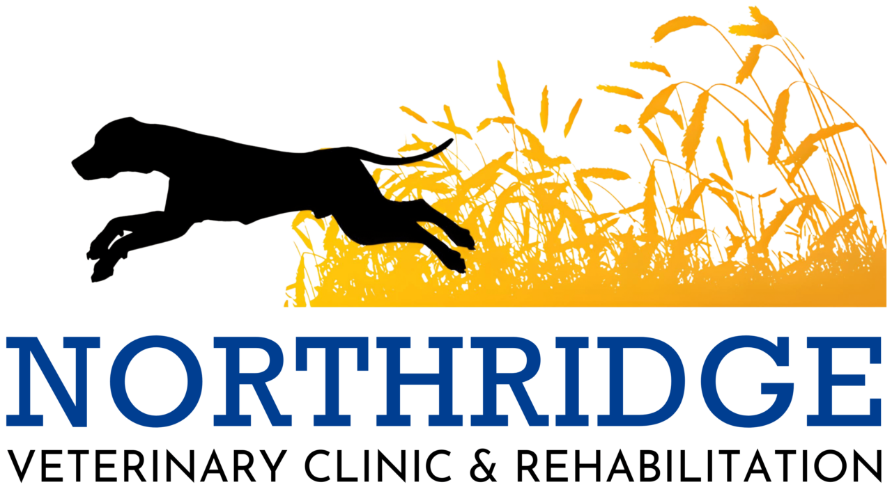 Best Vet Hospital In Wichita, KS Northridge Vet Clinic