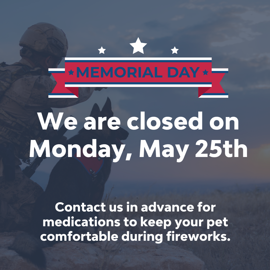 Memorial Day
